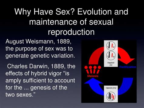 Ppt What Is Sex Powerpoint Presentation Free Download Id5656007