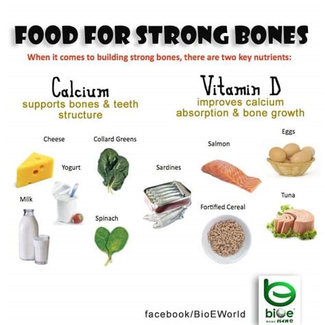 15 Foods That Helps You Build Strong And Healthy Bones Information