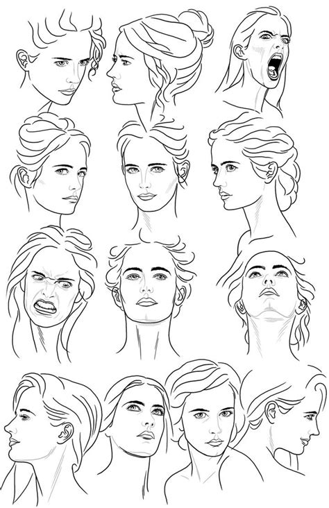 Female Face Reference Sheet 1 By Montoya1983 On Deviantart