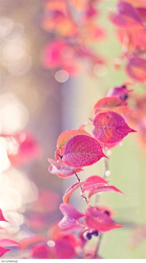 Cute Girly Wallpapers - Wallpaper Cave
