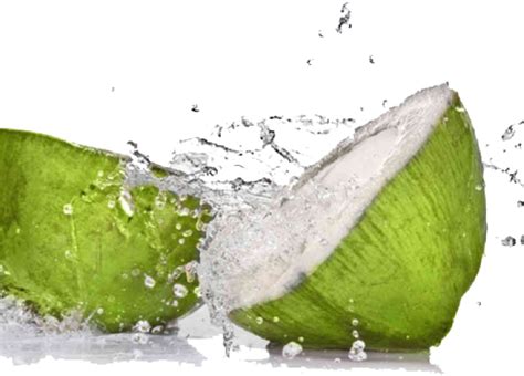 Coconut Water Png Free Logo Image