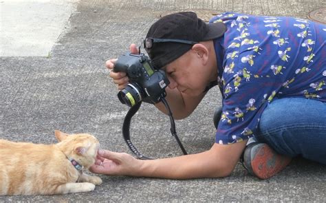 ‘neko Dokoro Photographer Shuji Ozaki Releases Cat Calendar For 2019