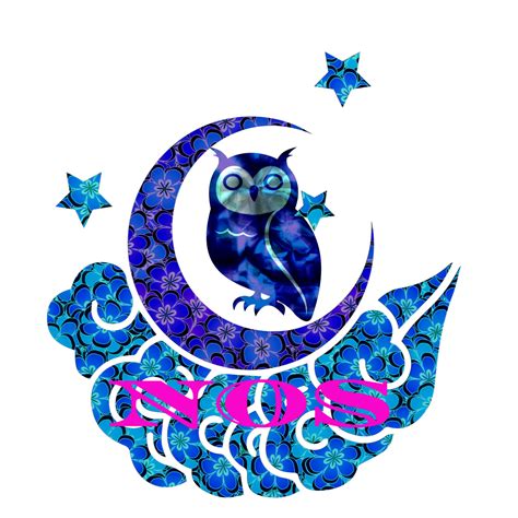 Night Owl Services