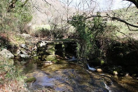 Free Images Tree Creek Wilderness Flower River Valley Stream