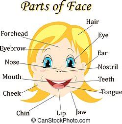 Parts of the human face. Face parts. vector. Eye, lips and mouth collection. vector ...