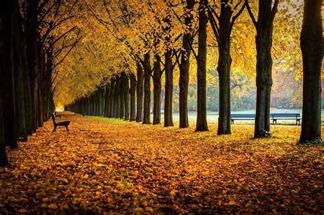 Nature Bench Fall Wallpapers Hd Desktop And Mobile