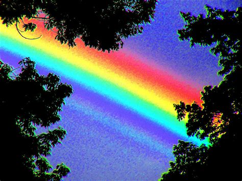 Rainbow Love Photograph By Doreen Amorando
