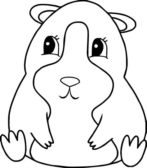 Desenhos De Hamster Para Colorir Desenhos Para Colorir