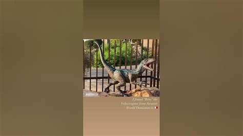 I Found “beta” The Velociraptor From Jurassic World Dominion In Vittoriosa Birgu Malta 🇲🇹