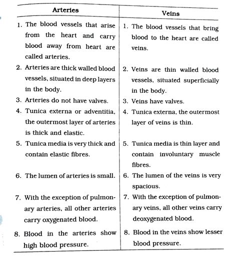 Distinguish Between Arteries And Veins Giving Suitable Well Labelled D