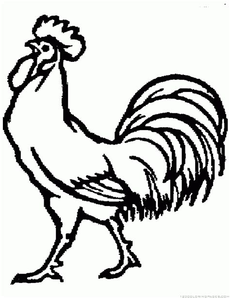 ✓ free for commercial use ✓ high quality images. Rooster Coloring Pages - Part 2