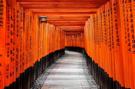 Questi Sono I Migliori Templi E Santuari Di Kyoto Flonchi
