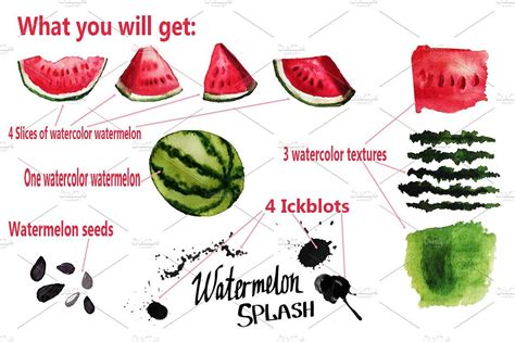 Watermelon Splash | Watermelon, Watermelon pattern, Watermelon seeds
