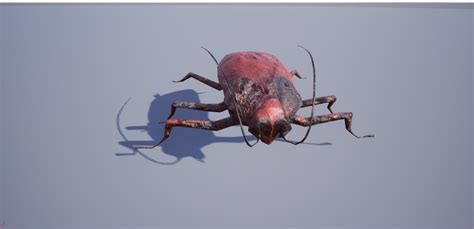 Artstation Cockroach Model And Animation