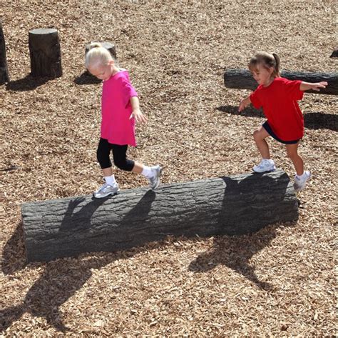 Choose The 6 Or 4 Log Tunnel For Natural Looking Playgrounds