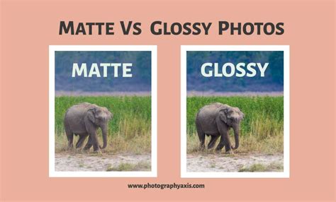 Matte Vs Glossy Photos Which Is Best For You Photographyaxis