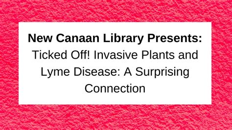 New Canaan Library Presents Ticked Off Invasive Plants And Lyme