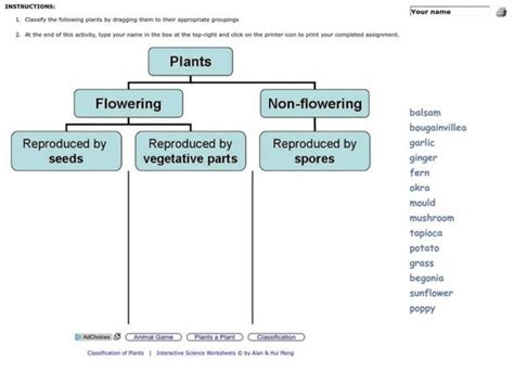 Plant Classification Lesson Plans And Worksheets Lesson Planet