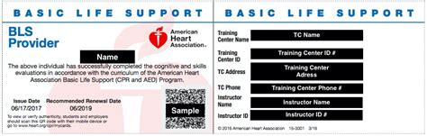 Cpr Class Information