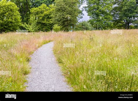 Wicklung Kies Gehweg Weg Wanderweg Durch Das Hohe Gras Im Schönen