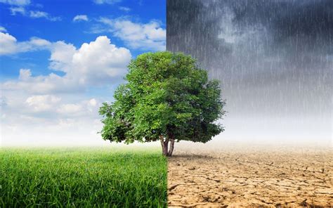 Climate Change Wallpapers Top Free Climate Change Backgrounds