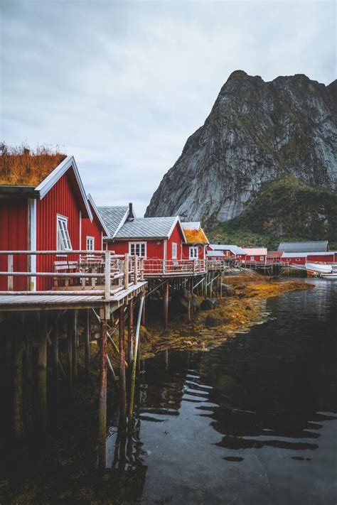 Norway Red Wooden Houses Reine Village In Lofoten Islands Stock Image