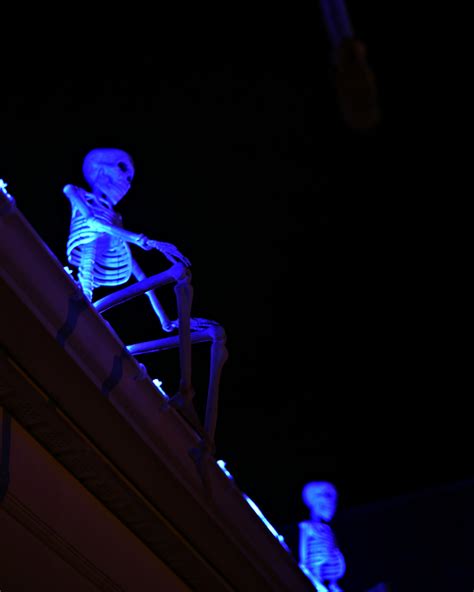 Haunted Eves Halloween Blog Ghostly Skeletons Sitting On The Roof