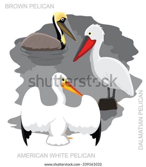 Bird Pelican Set Cartoon Vector Illustration Stock Vector Royalty Free