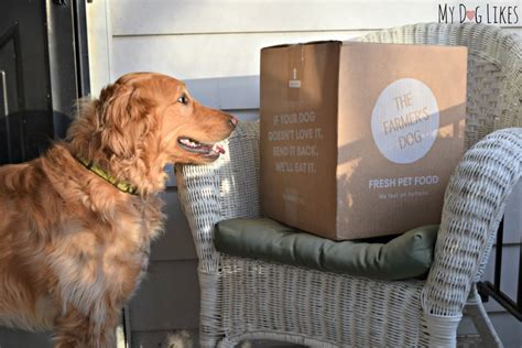 In short, you need to feed much less lifewise to. "The Farmer's Dog" Review - Custom Food Delivered Straight ...