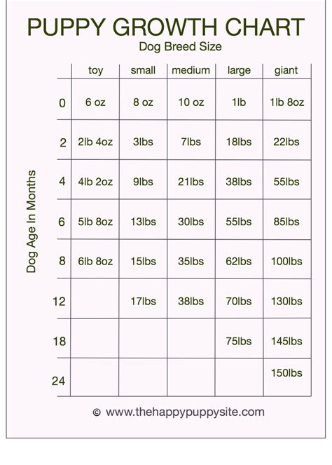 25 Golden Retriever Weight Chart Kg Pic Codepromos