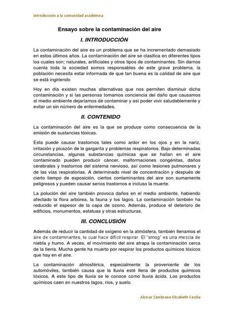 Ensayo Sobre La Contaminación Ambienta Elizaa Contaminación La