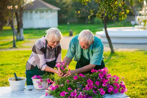 These games for seniors exercise their brains, stay focused, and alert. Outdoor and Indoor Summer Activities for Older Adults