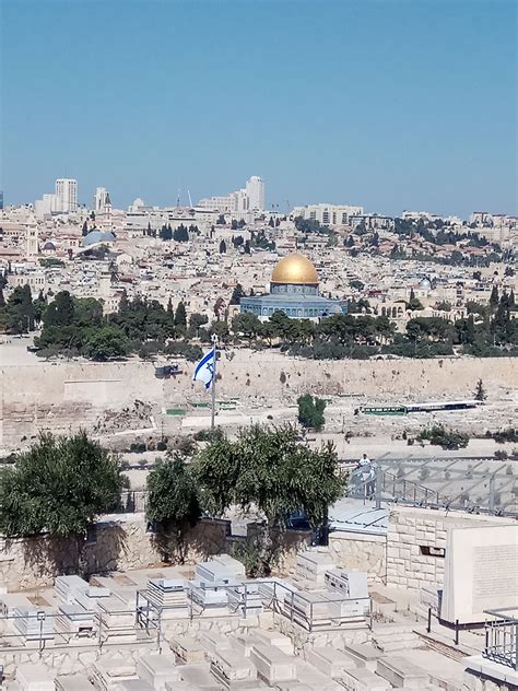 לו היינו חיים בדור החורבן, אומרים חזל, בית המקדש גם היה נחרב והראייה היא שבימינו לא זכינו שייבנה הבית ודורנו לא תיקן את עוונות דור החורבן. למי קדוש הר הבית? מעריב סופהשבוע 30 נובמבר 2018 | אתר הבית ...