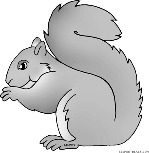 Download High Quality Squirrel Clipart Gray Transparent Png Images