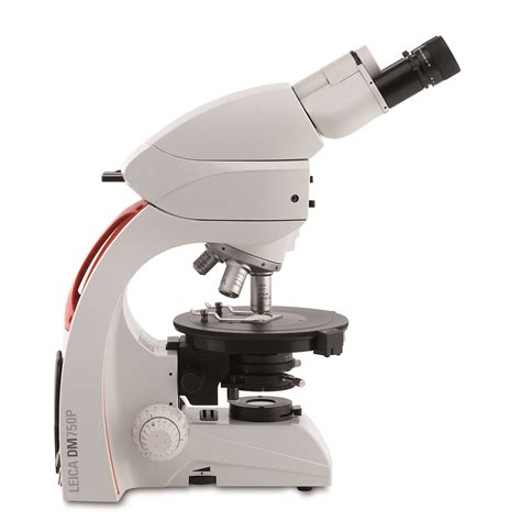 Microscopio Leica Dm750 P Bio Optic Srl
