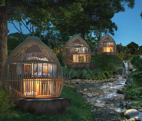 Tree House Resort In Kenya