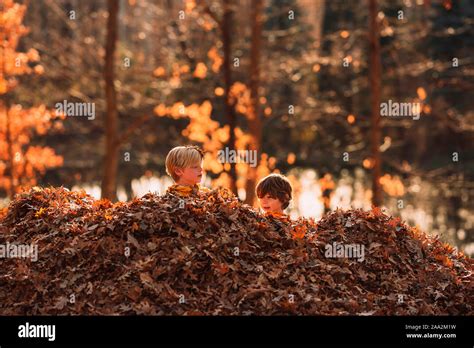 Two Boys Playing In A Pile Of Autumn Leaves Usa Stock Photo Alamy