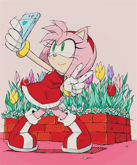 but first let me take a selfie amy rose sonic and amy amy the hedgehog