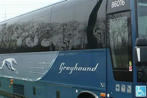 Greyhound Bus Inside 2022