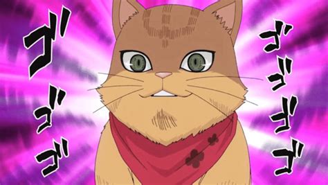 Top 20 Anime Cats That Will Steal All Your Love 2022 Anime Cat