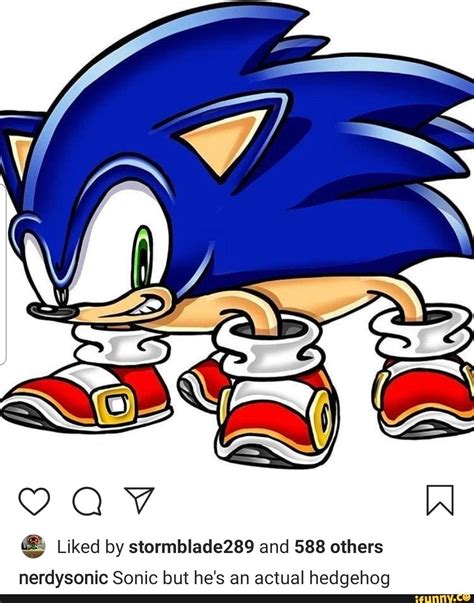 liked by stormblade289 and 588 others ihedgehog nic sonic but he s an actua nerdyso ifunny