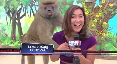 The Funniest News Bloopers Of 2013 You Ll Want To Send This To Everyone You Know Glamour