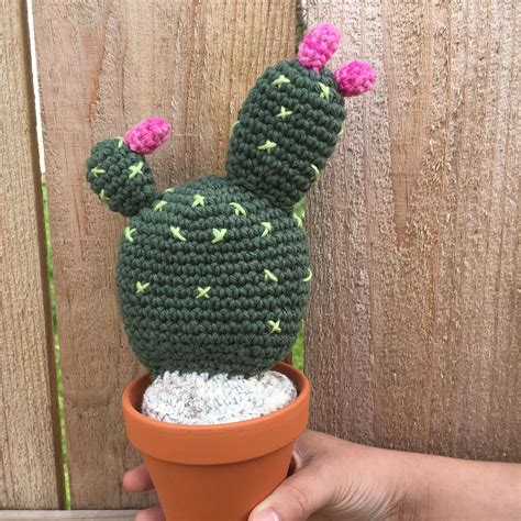 I have quite the stand of prickly pear cactus forming in my pasture. Large Prickly Pear, Tall Cactus, Prickly Pear, Large ...