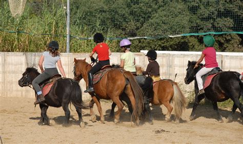 A Quick Ride Through The History Of Horseback Riding Sports Aspire