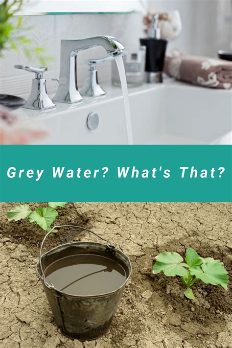 Have You Ever Heard Of Grey Water But Arent Sure What It Is This Will