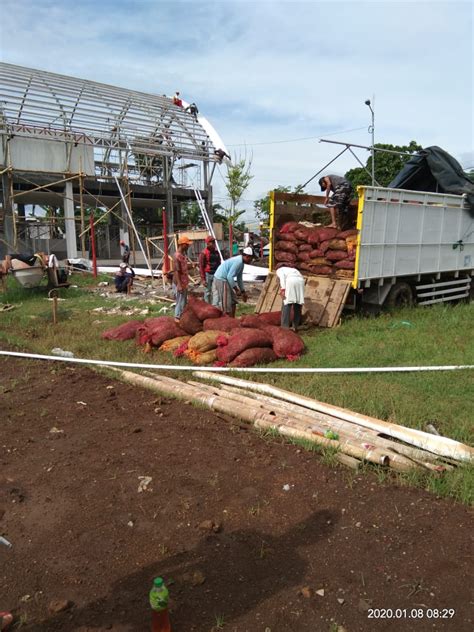 Sekarang saya nak mencuci lubang cik linda pula. pak salim jangan berkurang ajar, cepat pak aku mula berfikir, pasti sakit lubang buritku dikerjakan oleh batang menggerutu tersebut. Rumput taman hias rumput gajah mini di jember jawa timur ...