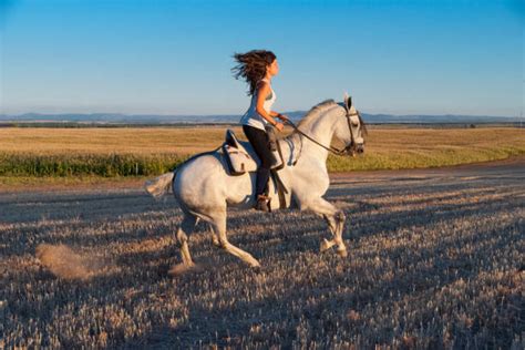 Woman Blowing A Horse Stock Photos Pictures And Royalty Free Images Istock