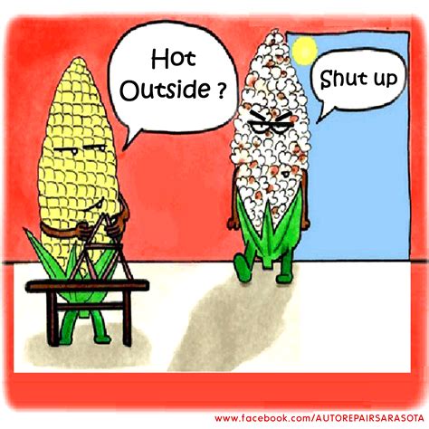 Hot Summer Popcorn Funny Hot Outside Sure Is Hot In Sarasota FL Cartoon Jokes Funny
