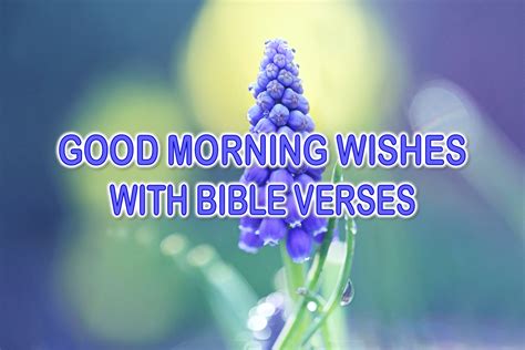 50 Powerful Good Morning Wishes With Bible Verses Superbwishes
