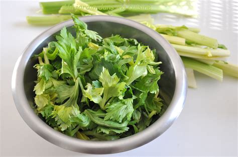 Pesto feuilles de céleri branche